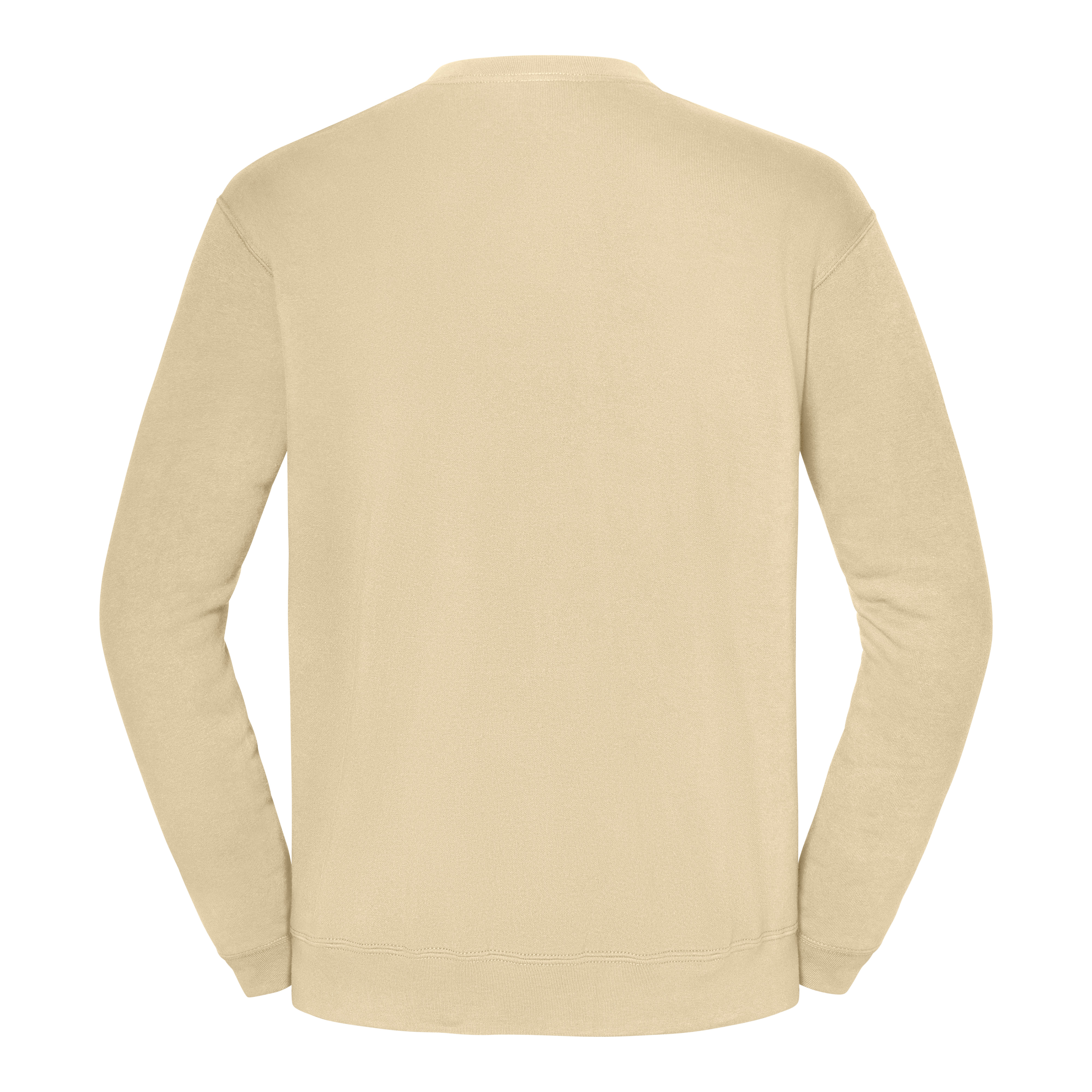 ICONIC 250 SET-IN SWEAT - Fruit of the Loom
