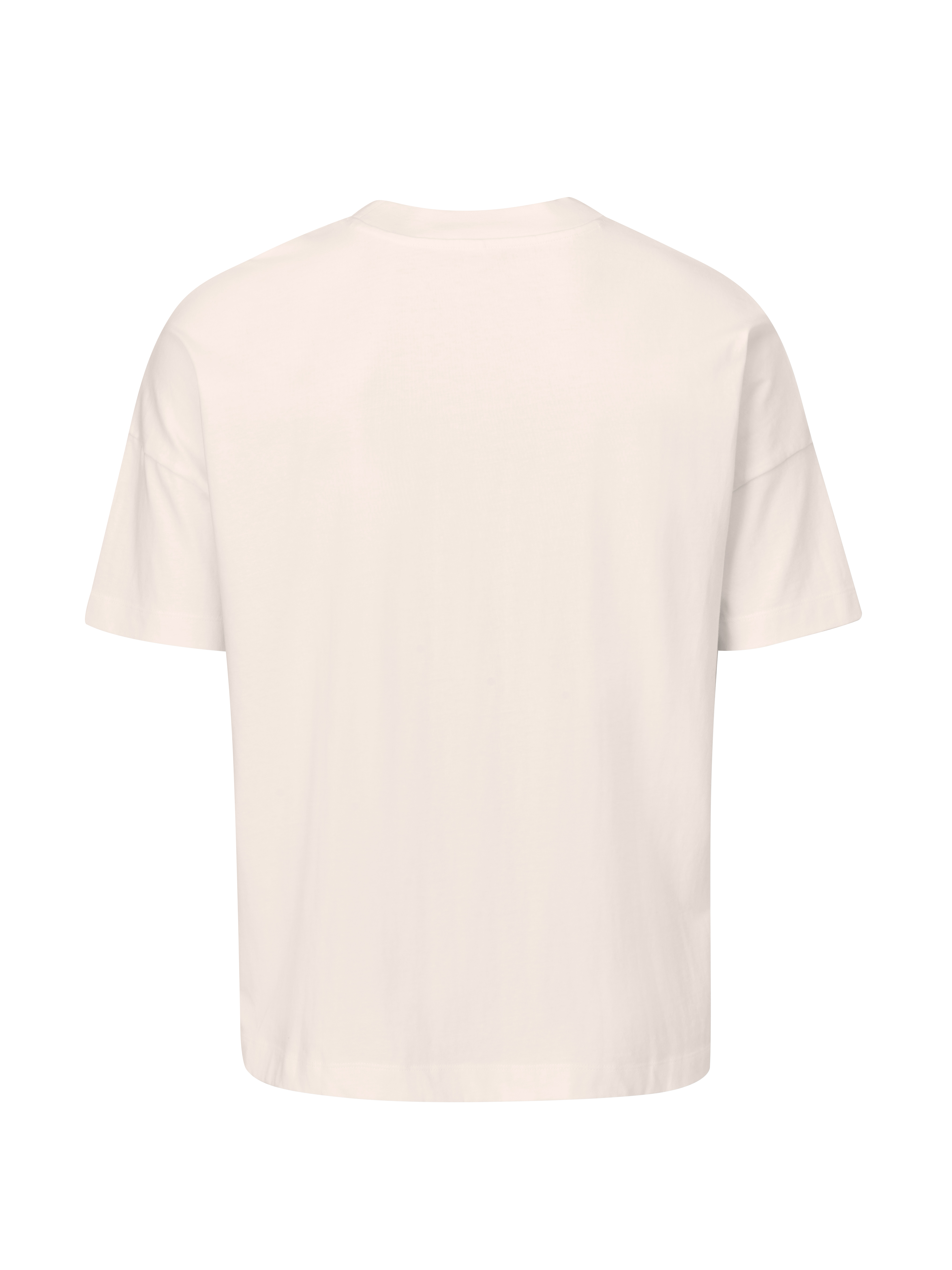Unisex Oversized Heavy T - Mantis