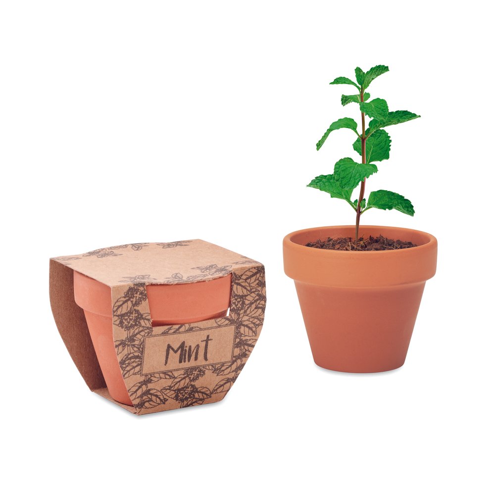 MINT POT - MERCH