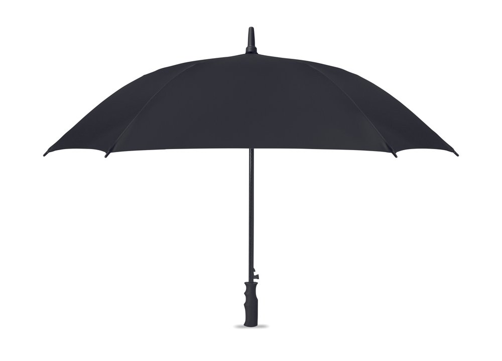 AMBOLI - MERCH