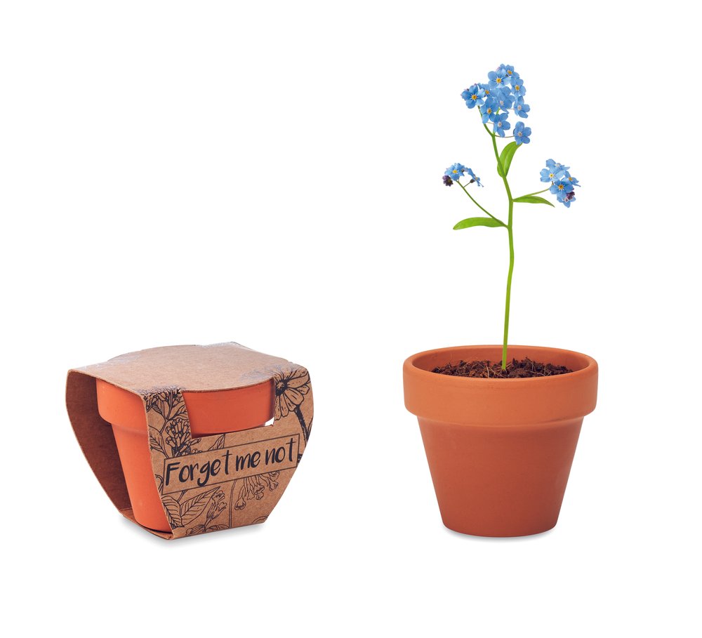 FORGET ME NOT - MERCH