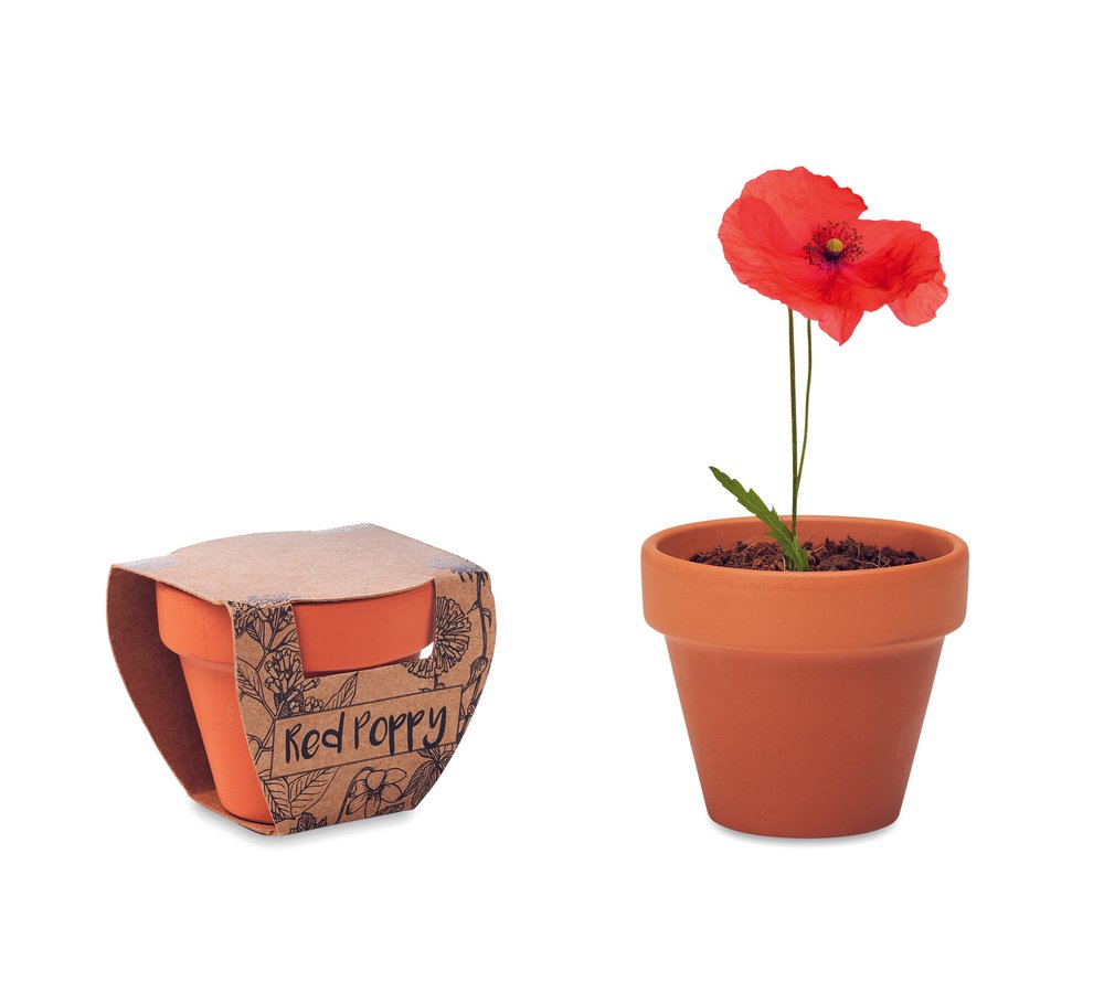 RED POPPY - MERCH