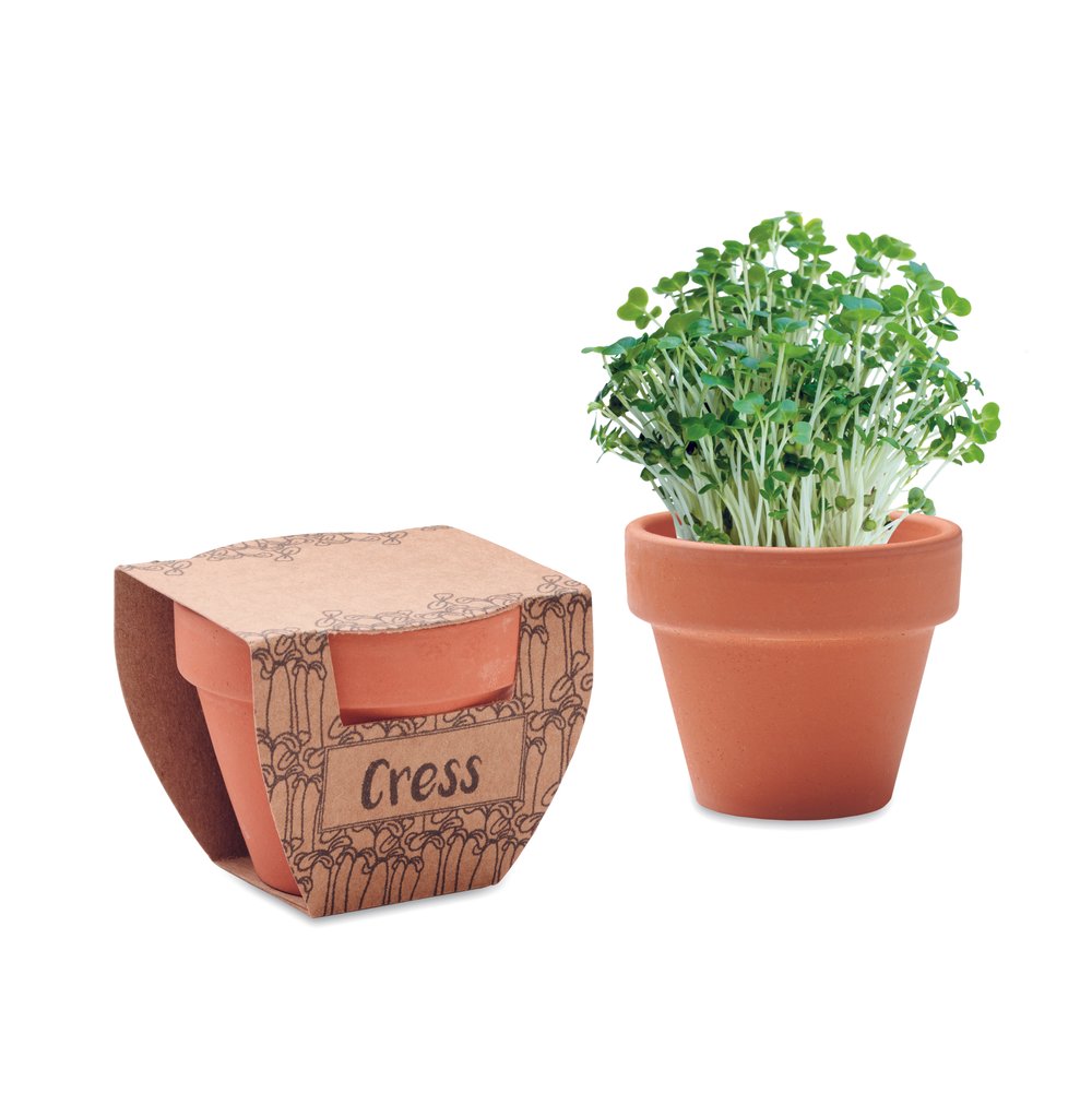 CRESS POT - MERCH