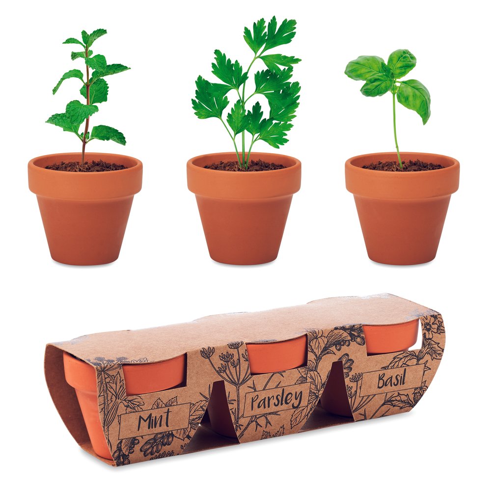 FLOWERPOT - MERCH