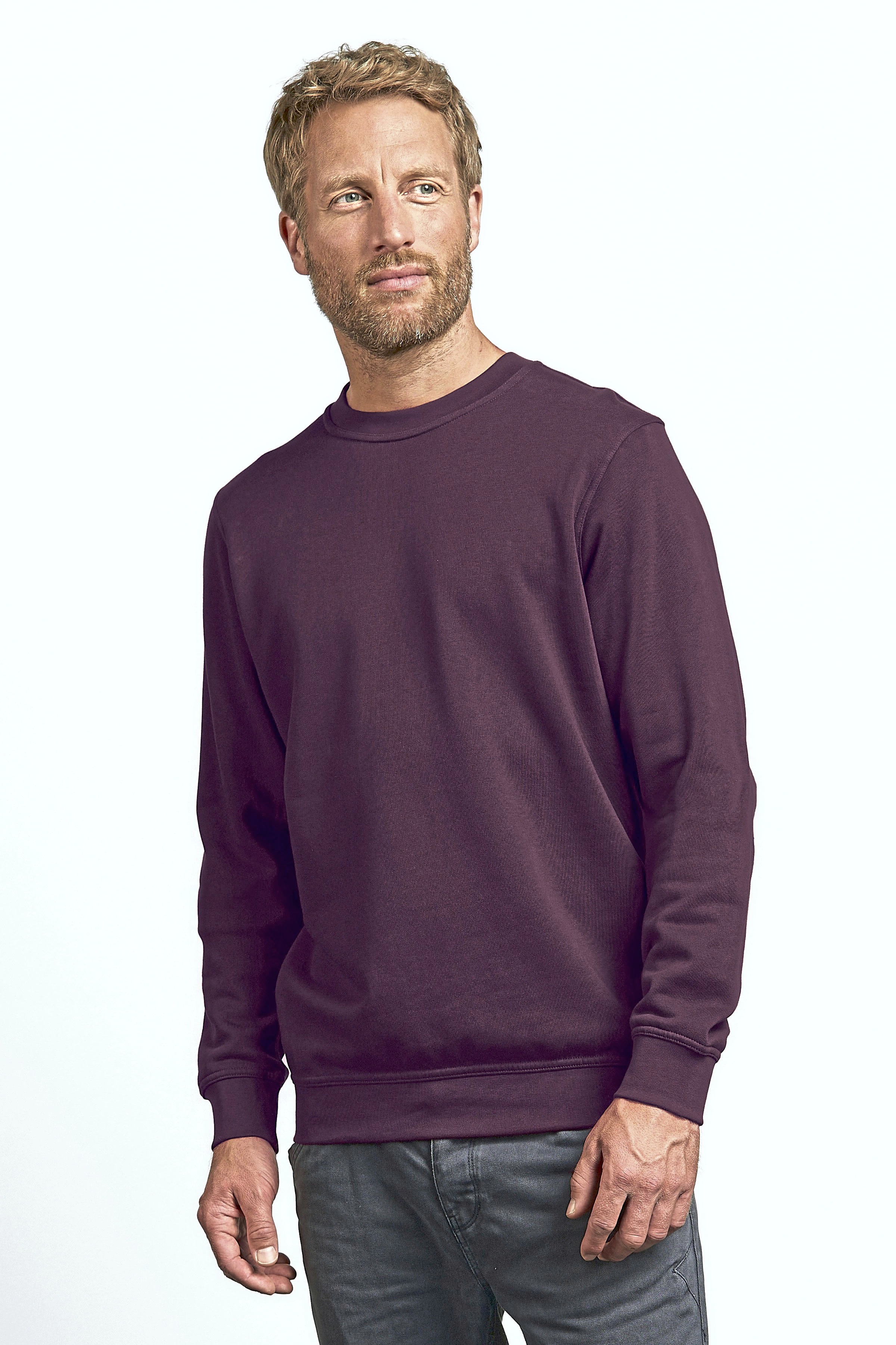 Men´s New Sweater 80/20 - Promodoro