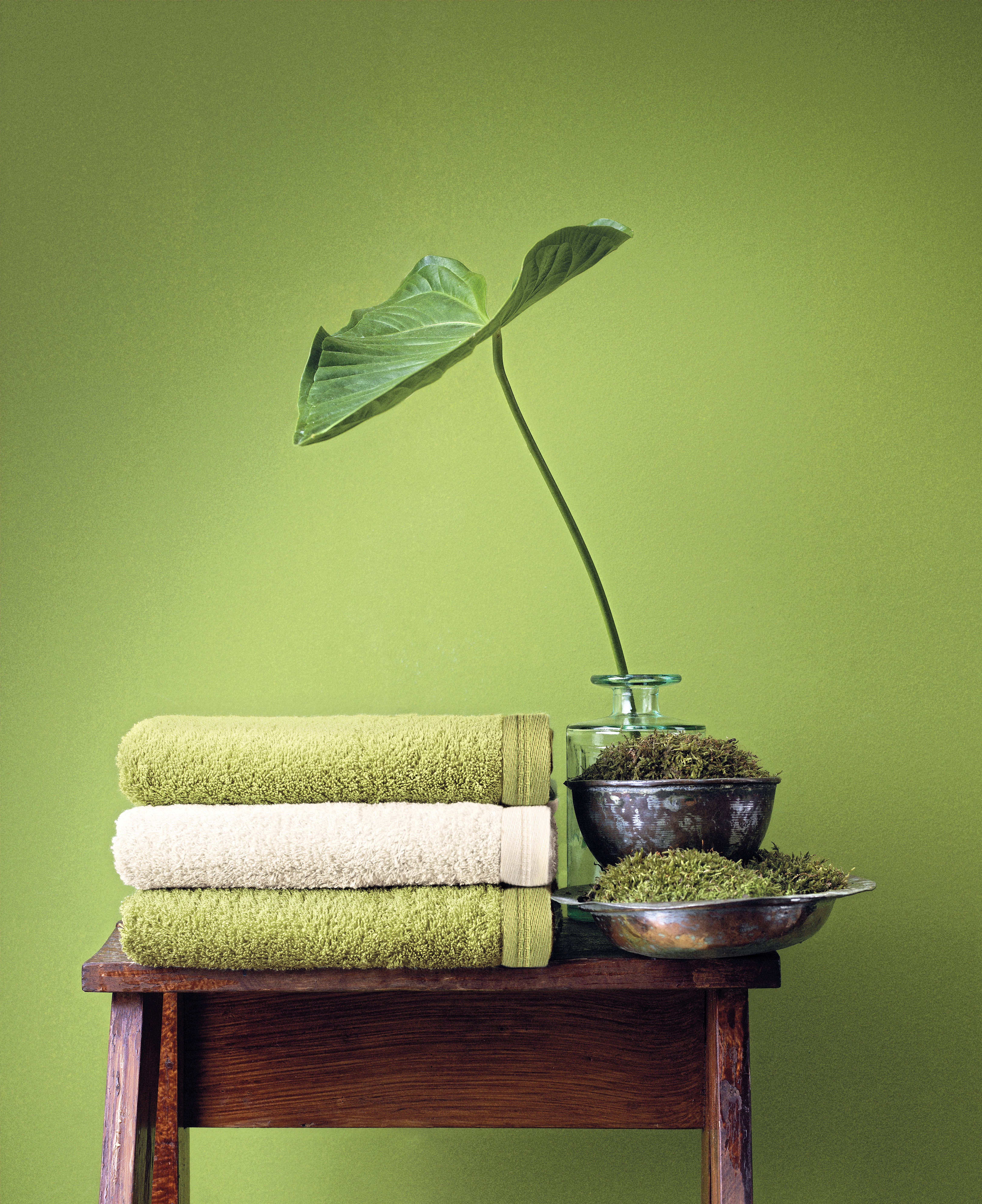 Vegan Life Hand Towel - Vossen
